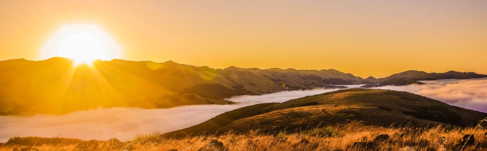 San Luis Obispo Travel Guide: Top Attractions & Things to Do